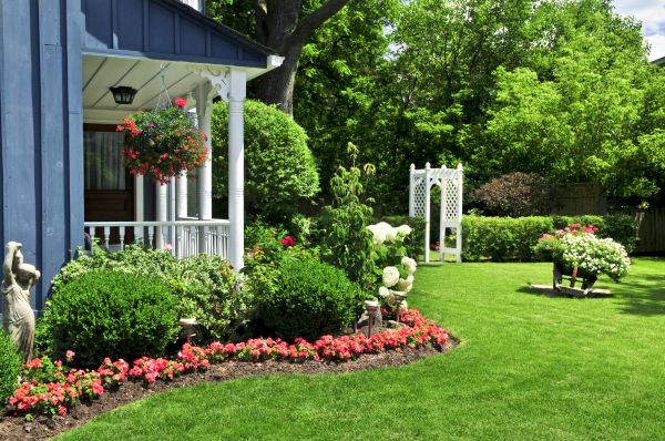 Front Yard Makeover