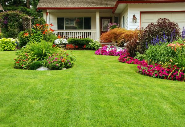 Property Beautification