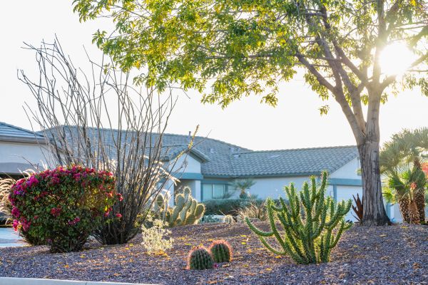 Dryscape Landscaping