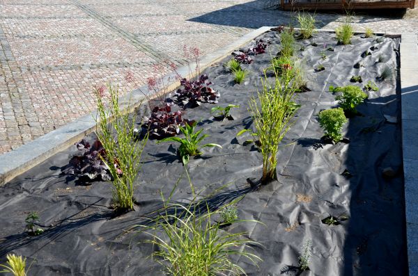 Landscape Fabric Installation
