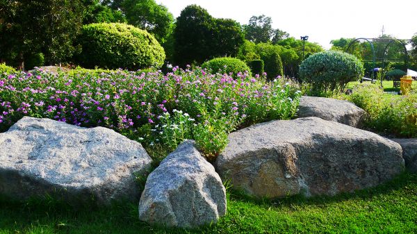 Landscape Boulder Removal