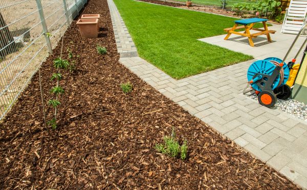 Bark Application