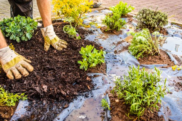 Mulch Fabric Installation