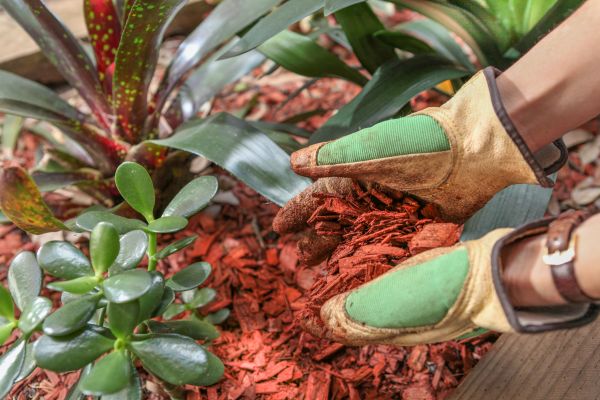 Residential Mulching
