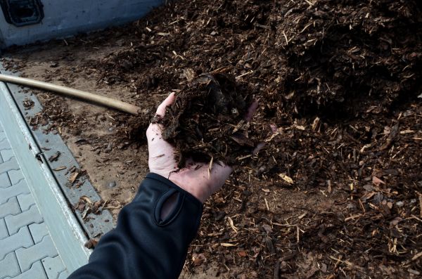 Condo Mulching