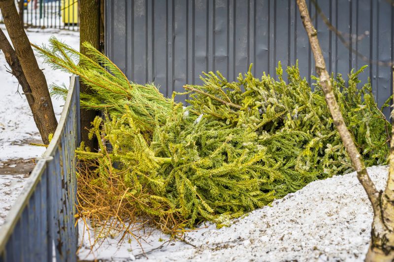 Winter Boulder Removal